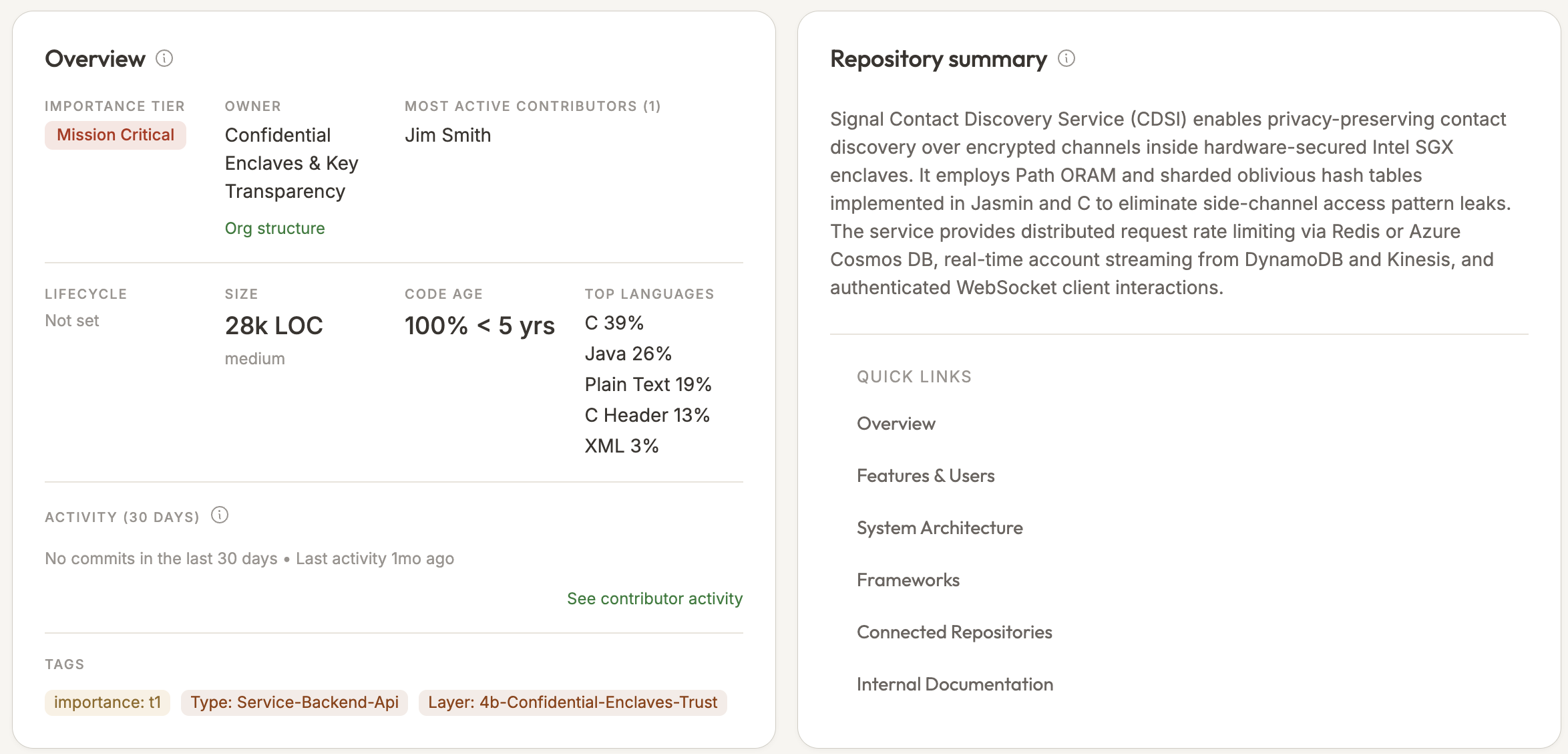 Repository overview showing owner, importance tier, size, code age and a generated summary